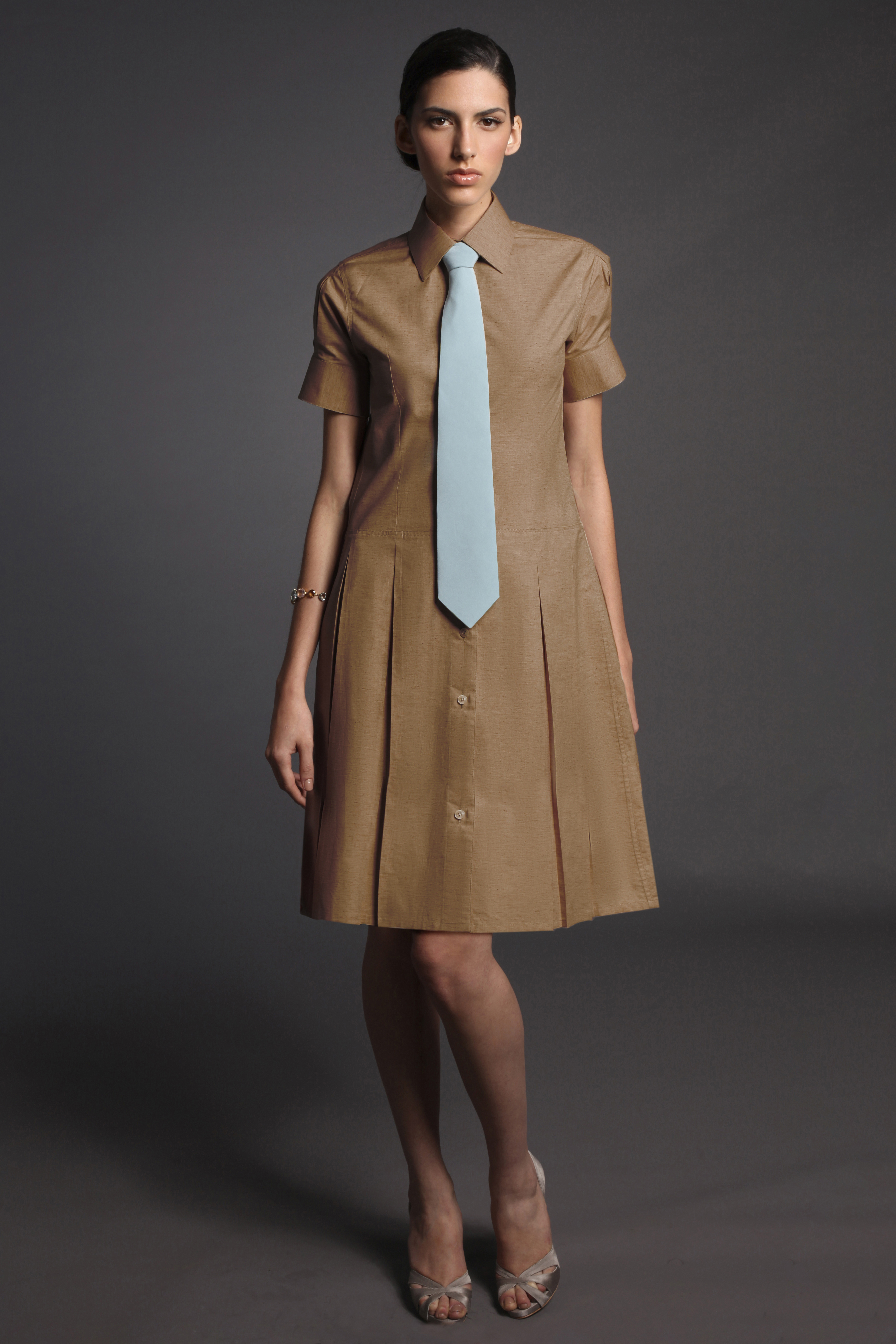 Brown Shirt Dress